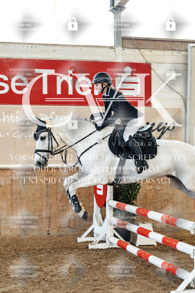 CK904593 | Turnierfotografie Pferdefotografie Trier Rheinland-Pfalz Pferdesport Reitsport Tierfotografie Sportfotografie Pferdevideo Pferdevideografie Equestrianvideography equestrianphotography  - Realisiert mit Pictrs.com