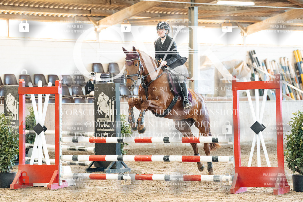 CK904739 | Turnierfotografie Pferdefotografie Trier Rheinland-Pfalz Pferdesport Reitsport Tierfotografie Sportfotografie Pferdevideo Pferdevideografie Equestrianvideography equestrianphotography  - Realized with Pictrs.com
