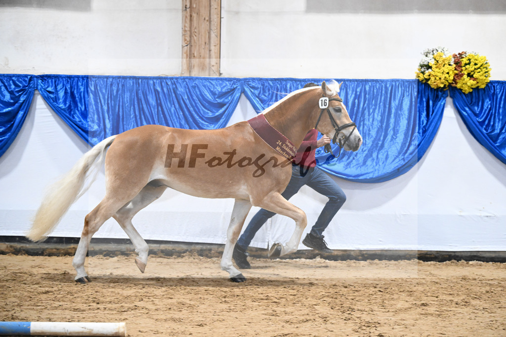 Kat-Nr. 16 nn v. Neustart_Obermeyer_48251807 | hf-fotografie - Realisiert mit Pictrs.com