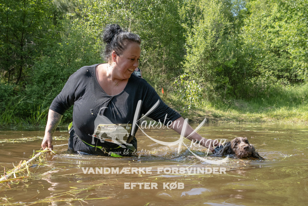 1541DKK991826 | kk-dogfotos