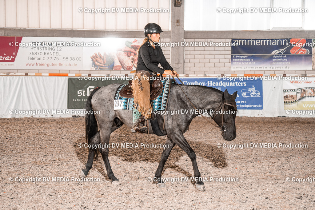 ZH101088 | dv-media-shop - Realisiert mit Pictrs.com