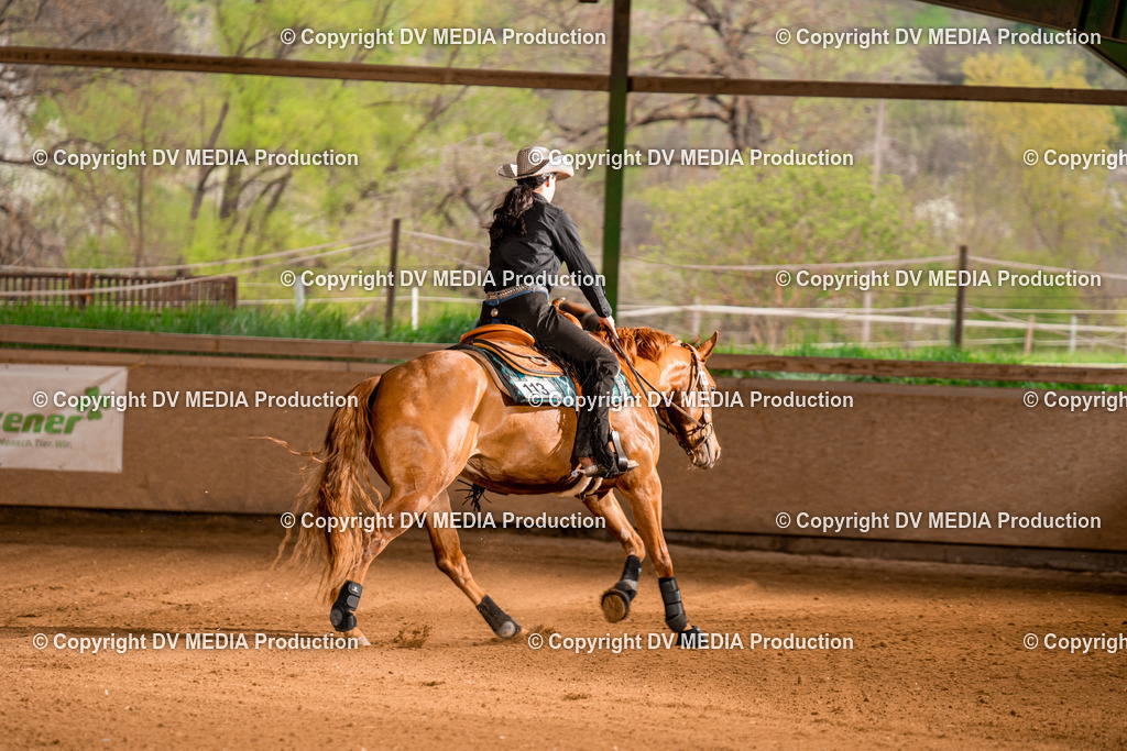 BA301224 | dv-media-shop - Realisiert mit Pictrs.com