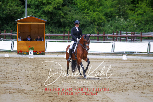 DKP47781 | Turniersportfotografie; Pferdefotografie; Dressurfotografie