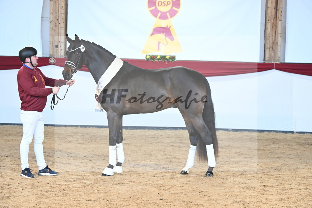 Kat.-Nr. 82 v. Von Und Zu_Berger_2242961 | hf-fotografie - Realisiert mit Pictrs.com