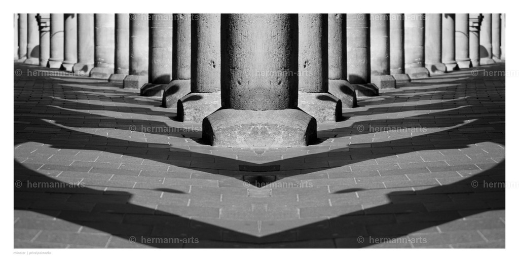Hermann-Arts_Spiegelbilder_052 | Photo Foto Kunst Art schwarzweiss Bilder Rheine Münster Berlin Blumen 