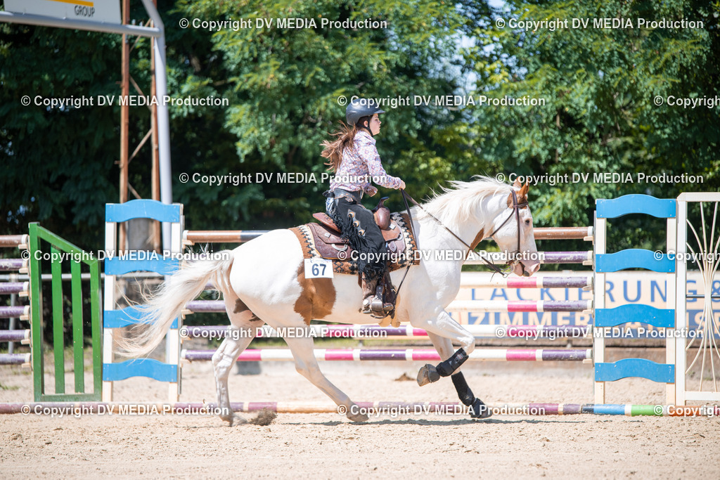 ZS1_1264 | dv-media-shop - Realisiert mit Pictrs.com