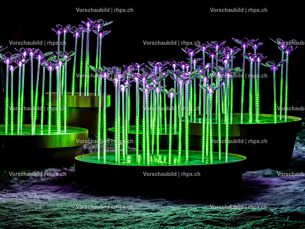 Rigi Lichtfestival 206 | Stimmungsvolle Fotokunst aus Luzern. Erlebe den Pilatus, den See und die Stadt Luzern in exklusiven Aufnahmen in der Fotogalerie & Shop. - Realisiert mit Pictrs.com