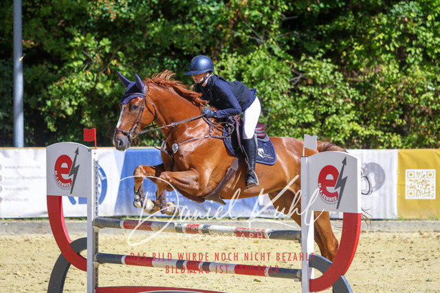 DKP43214 | Deine Turnierfotos vom Reitturnier online kaufen: Dressur, Springen & Siegerehrung. Professionelle Pferdefotografie aus dem Rheinland – als Download & Print.Alternative: Turnierfotograf für den Pferdesport: Finde deine Fotos von Dressur- und Springturnier