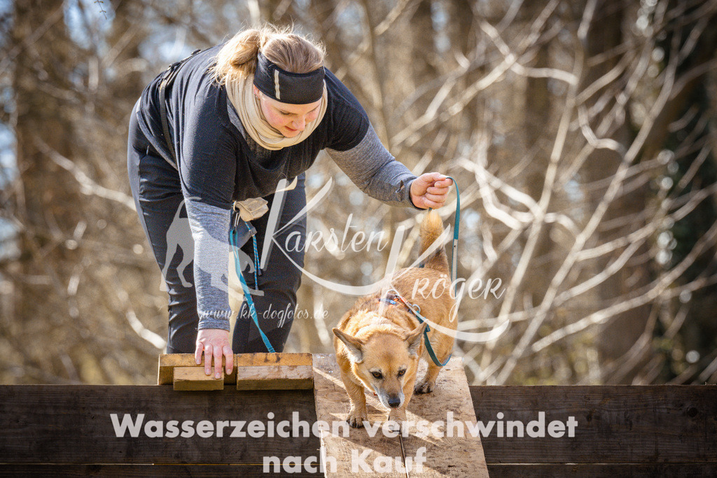0911_ZZ94049 | kk-dogfotos
