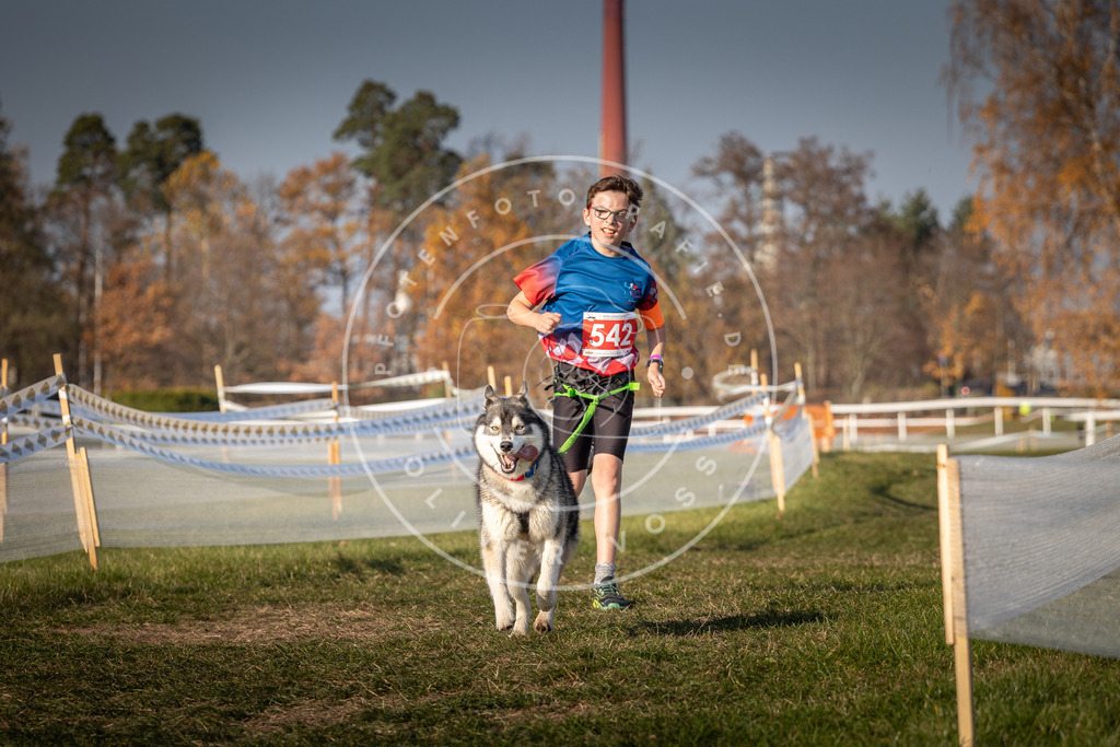CaniXpix_0L8A9042 | Hundefotografie, Tierfotograf, Pfotenfotografie, Fotoshooting Hund, Hunde Portrait, Hundesport, Hundeportraits, Heideshooting, Hunde, Sportfotograf, Hundefotograf, Turnierhundsport, THS,  - Realisiert mit Pictrs.com