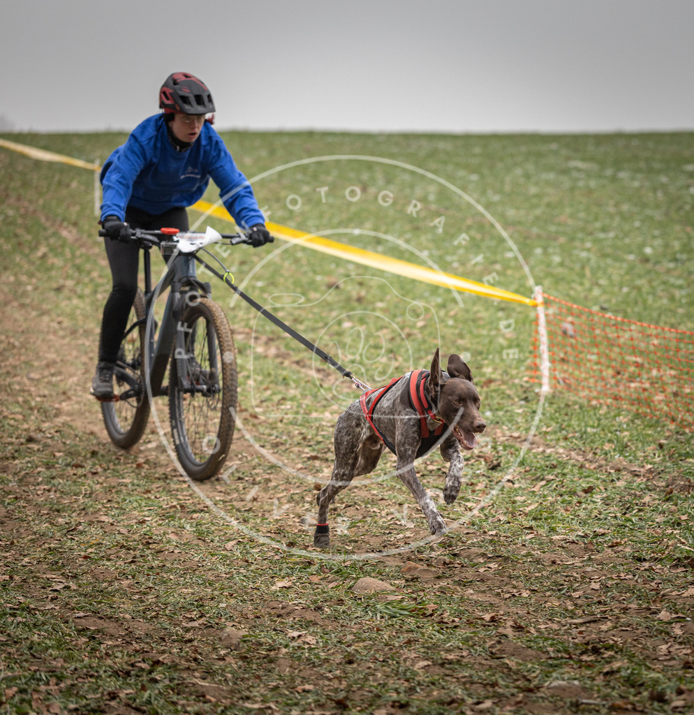 Pfotenfotografie_DV3A2887 | Hundefotografie, Tierfotograf, Pfotenfotografie, Fotoshooting Hund, Hunde Portrait, Hundesport, Hundeportraits, Heideshooting, Hunde, Sportfotograf, Hundefotograf, Turnierhundsport, THS,  - Realisiert mit Pictrs.com