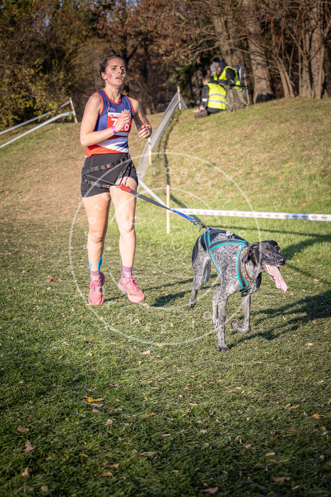 CaniXpix_0L8A9848 | Hundefotografie, Tierfotograf, Pfotenfotografie, Fotoshooting Hund, Hunde Portrait, Hundesport, Hundeportraits, Heideshooting, Hunde, Sportfotograf, Hundefotograf, Turnierhundsport, THS,  - Realisiert mit Pictrs.com