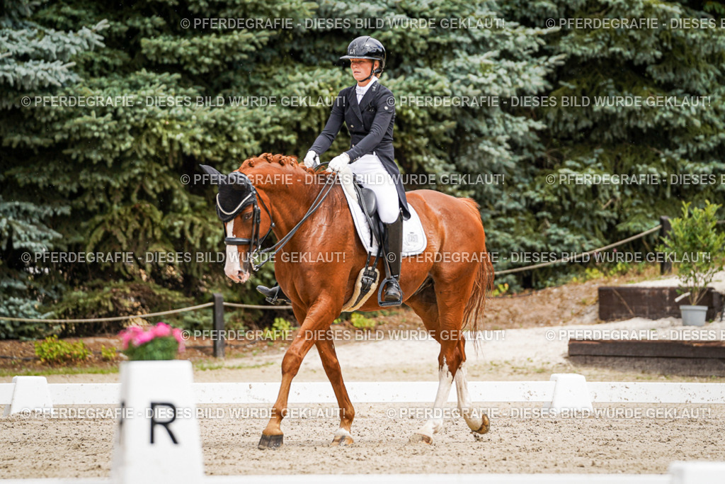 DSC05733 | Pferdegrafie