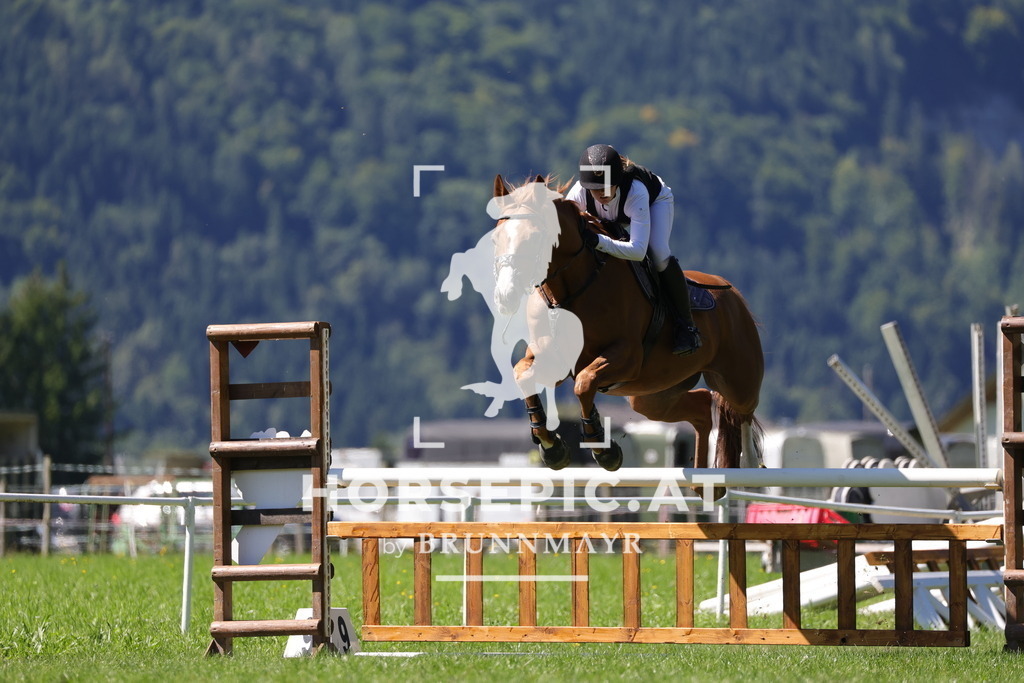 0P6A6466 | Willkommen bei Brunnmayr - Design & Fotografie – Ihrem Spezialisten für Reitturniere und Pferdeveranstaltungen in Oberösterreich, Salzburg und Bayern! Seit über 17 Jahren sind wir leidenschaftlich dabei.