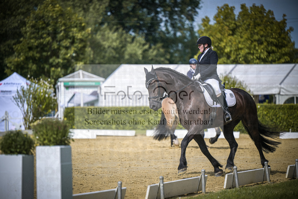 DOS_6800 | Entdecke hochwertige Reitturnierfotos von Foto Oger. Professionell, emotional und authentisch – jetzt Lieblingsmomente im Shop bestellen.Deutschlandweite Turnierfotografie. - Realisiert mit Pictrs.com