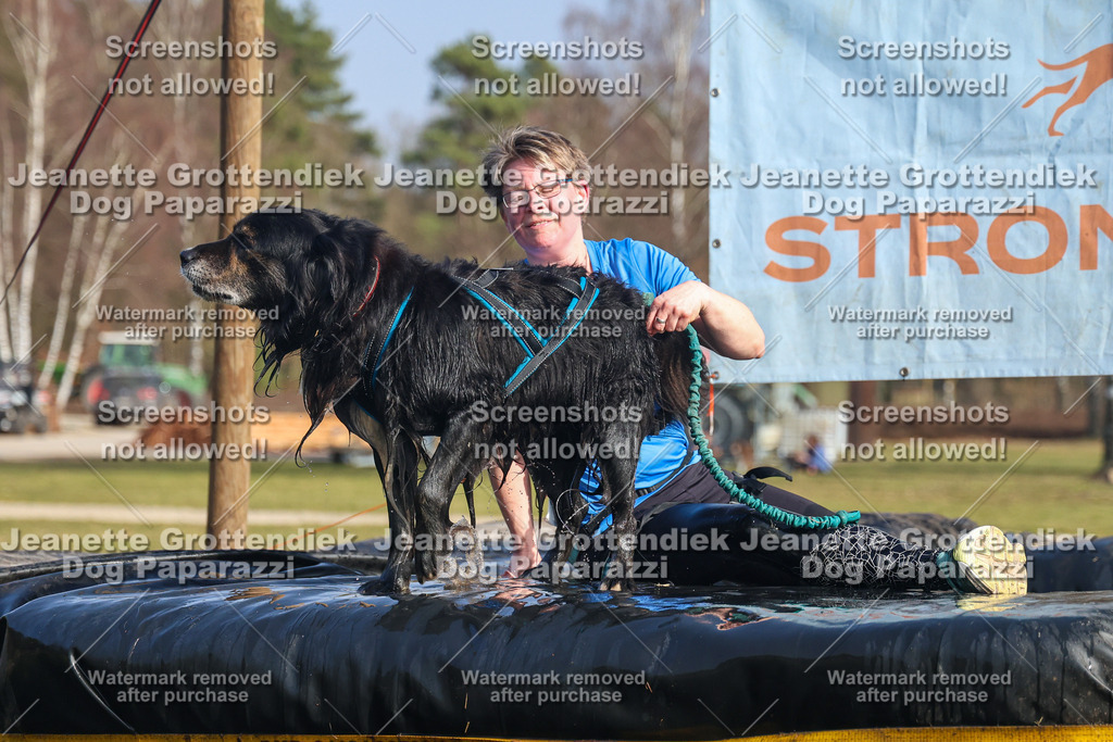 Dog Paparazzi - Strongdog North Mrz26-2824 | Dog Paparazzi Jeanette Grottendiek Fotografie & Videografie - Realisiert mit Pictrs.com