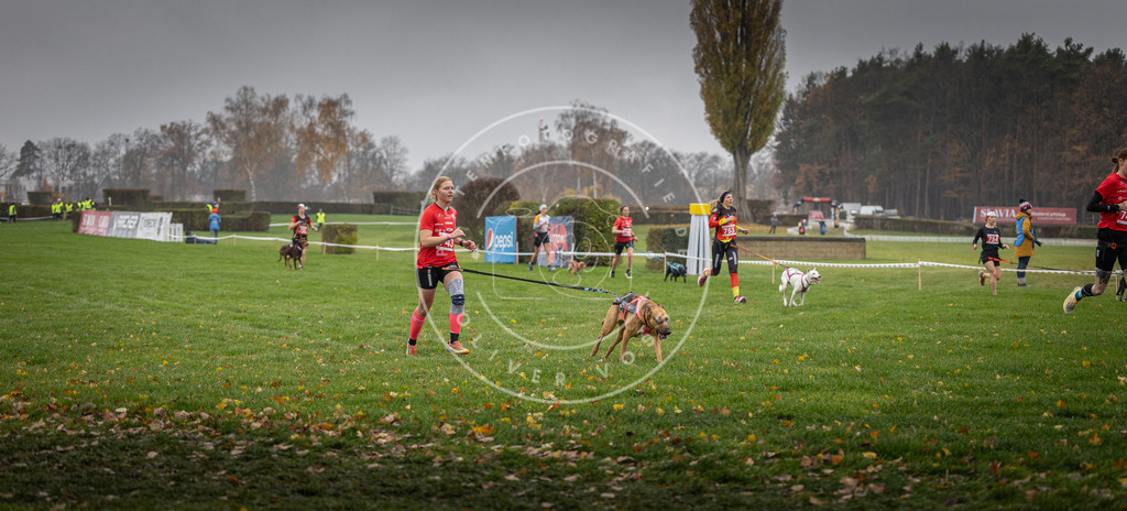 CaniXpix_DV3A8870 | Hundefotografie, Tierfotograf, Pfotenfotografie, Fotoshooting Hund, Hunde Portrait, Hundesport, Hundeportraits, Heideshooting, Hunde, Sportfotograf, Hundefotograf, Turnierhundsport, THS,  - Realisiert mit Pictrs.com
