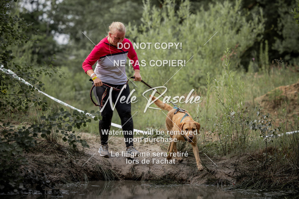 nelerasche_so0800-0930_26 | nelerasche