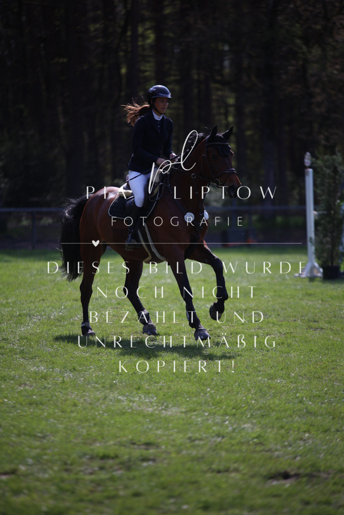 IMGT5840 | pl-fotografie