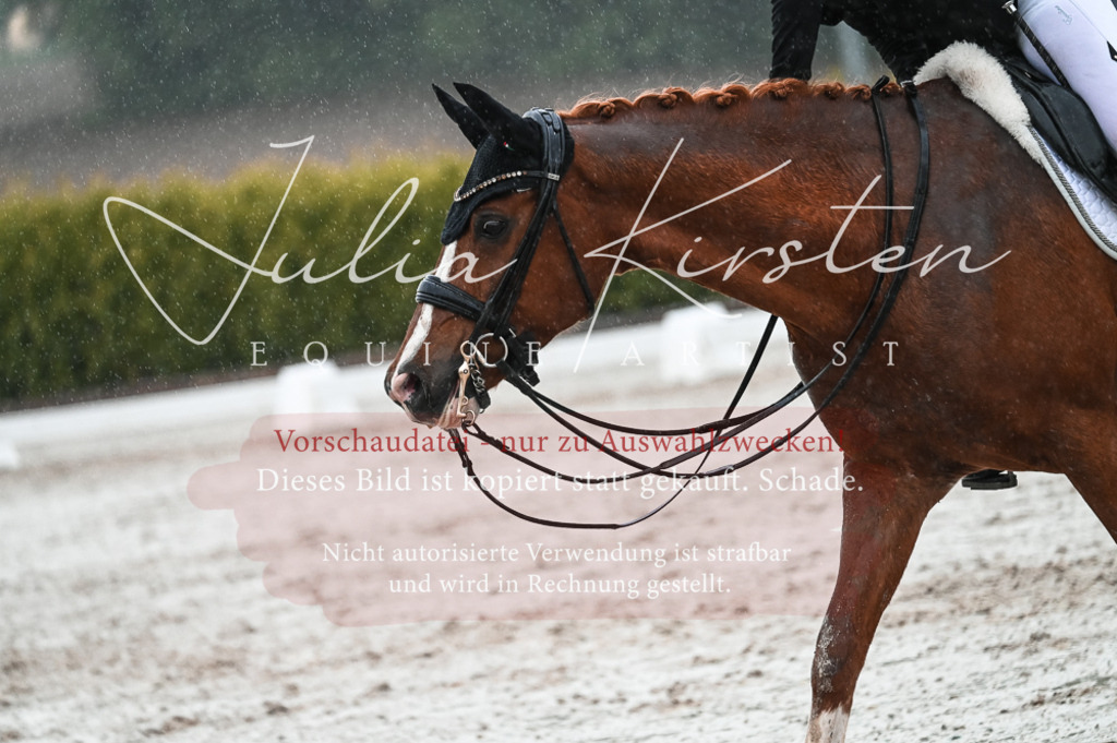 DSC_4646 | Pferde- und Turnierfotografie in Westsachsen. Pferdeportraits, Auftragszeichnungen und intuitive Kunst.