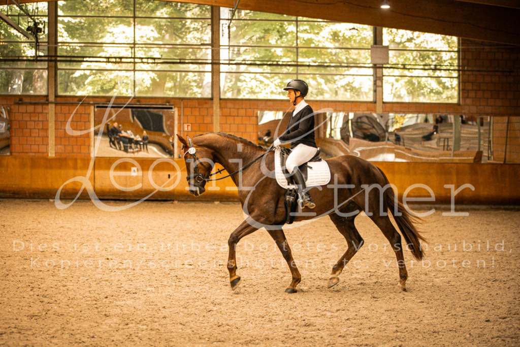 2Reiten00170 | Leoni Ertmer Photography - Realisiert mit Pictrs.com
