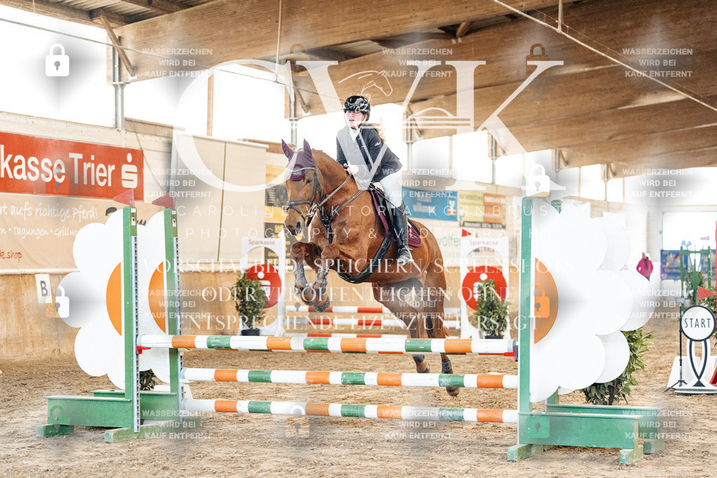 CK903861 | Turnierfotografie Pferdefotografie Trier Rheinland-Pfalz Pferdesport Reitsport Tierfotografie Sportfotografie Pferdevideo Pferdevideografie Equestrianvideography equestrianphotography  - Realisiert mit Pictrs.com