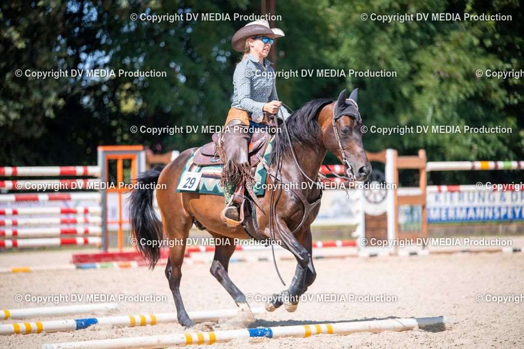 ZS1_1654 | dv-media-shop - Realisiert mit Pictrs.com