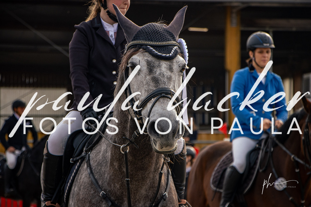 IMG_4532 | Erleben Sie dynamische Sport- und emotionale Tierfotografie in Süddeutschland mit Fotos von Paula. Spezialisiert auf Pferde- und Hundefotografie sowie Sportevents. Kontaktieren Sie mich für einzigartige und ausdrucksstarke Bilder Ihrer besonderen Momente. - Realisiert mit Pictrs.com