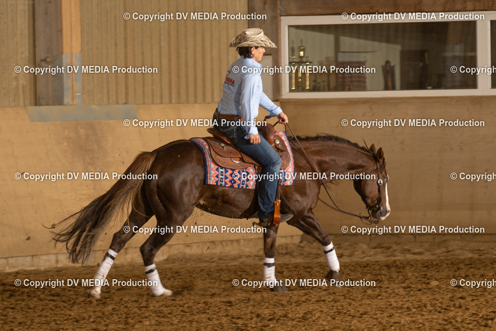 LAU00268 | dv-media-shop - Realisiert mit Pictrs.com