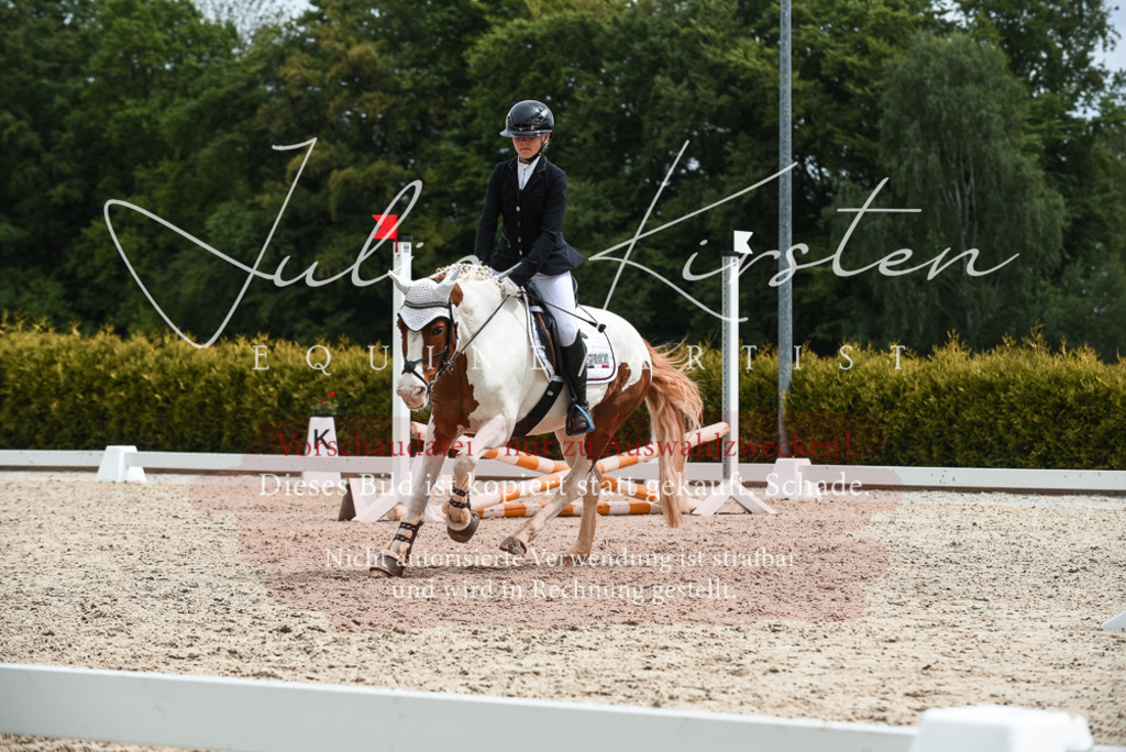 20230518_JK-Röhrsdorf-10-657 | Pferde- und Turnierfotografie in Westsachsen. Pferdeportraits, Auftragszeichnungen und intuitive Kunst.