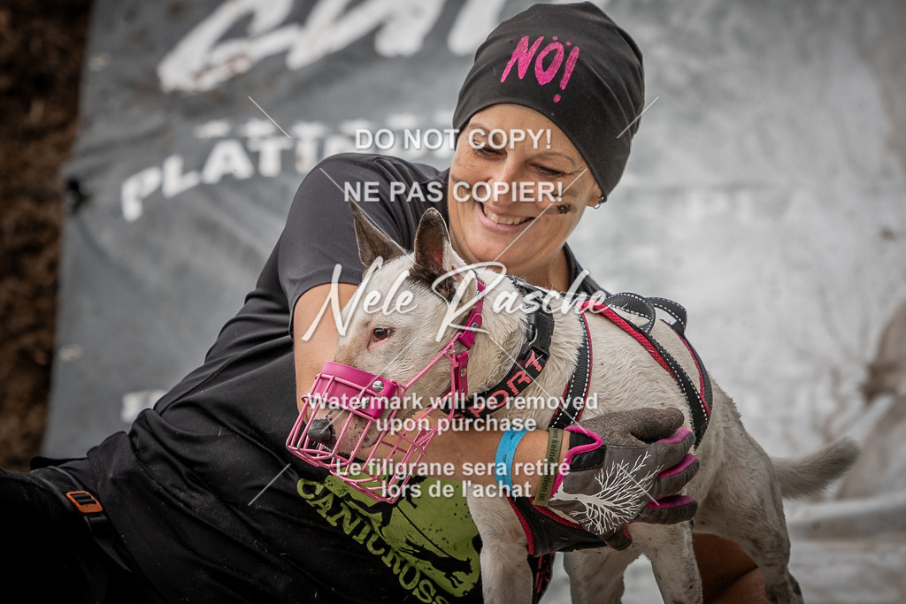 nelerasche_Wingst_Sa1300-1330_146 | nelerasche