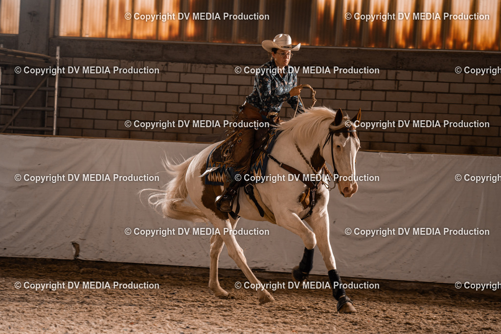 ZH300345 | dv-media-shop - Realisiert mit Pictrs.com