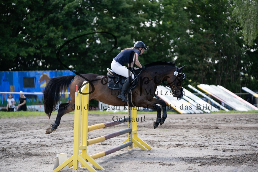 A7V03344 | Pferdefotograf