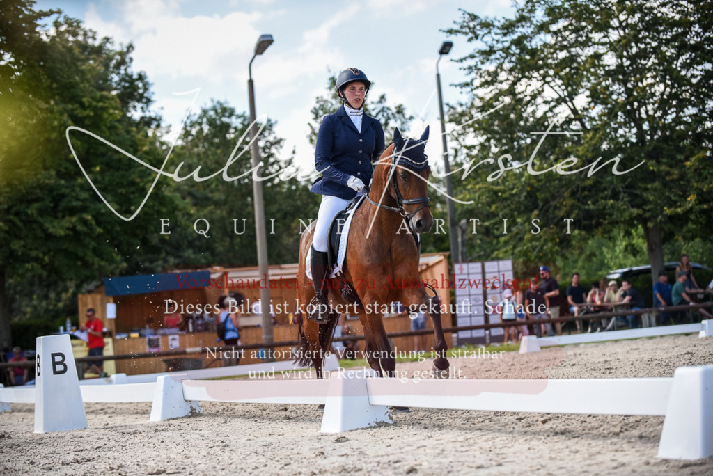 DSC_9456 | Pferde- und Turnierfotografie in Westsachsen. Pferdeportraits, Auftragszeichnungen und intuitive Kunst.