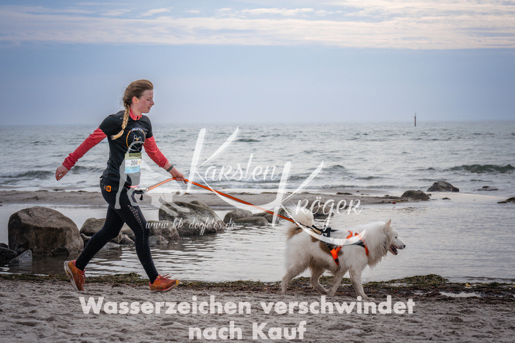 1100_ZZ97094 | kk-dogfotos