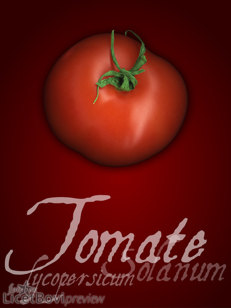 Tomate | Hamburg-Bilder, Stadt- und Naturlandschaften, Schafe, Gemüse und Stillleben – dekorative Fotos auf Leinwand, Acryl oder Papier in vielen Formaten oder als Monats-Kalender.
  - Realisiert mit Pictrs.com