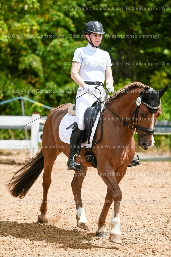 20230715_05_Dressurprüfung Kl.A++_0205 | equistock