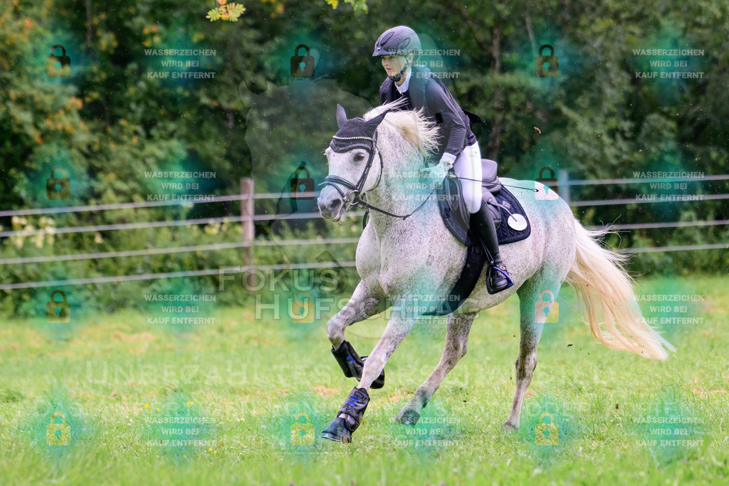 18072026-Schwaiganger-Prfg08-0060 | Fokus Hufschlag Fotografie - Realisiert mit Pictrs.com