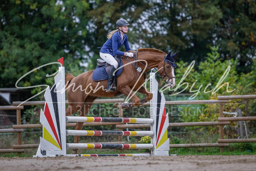 20251012-_3LI3264 | Tierfotografie Pferde, Hunde, Katzen, Haustiere.
Turnierfotografie Reitturniere, Reiten, Springreiten, Dressur in Hanau, dem Main-Kinzig-Kreis und dem Rhein-Main- Gebiet um Frankfurt