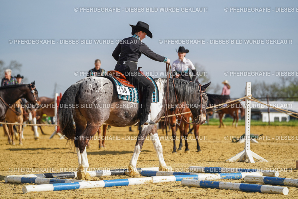 DSC01068 | Pferdegrafie