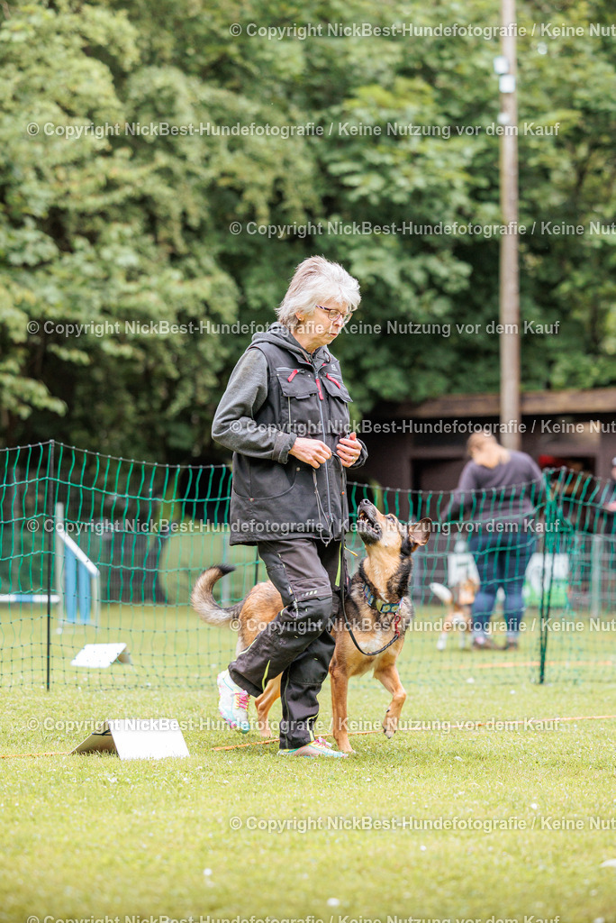RO-Blumenthal-2026-Nickbest-Hundefotografie-1343 | Dein Hund! Dein Moment! Deine Erinnerungen! Hundefotografie in Bremen Blumenthal. Ich fange die besonderen Momente deines Vierbeiners ein – ob Indoor mit Blitzanlage oder in der freien Natur. Sicher dir dein Moment und dein Termin für eure Erinnerungen.