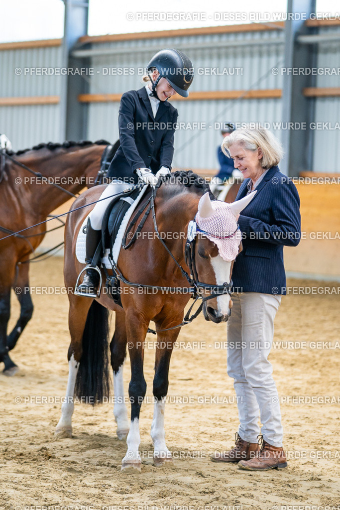 DSC01155 | Pferdegrafie