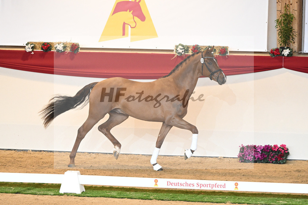 Kat-Nr. 78 Viva Gold_Casper u Eulich_1230483 | hf-fotografie - Realisiert mit Pictrs.com