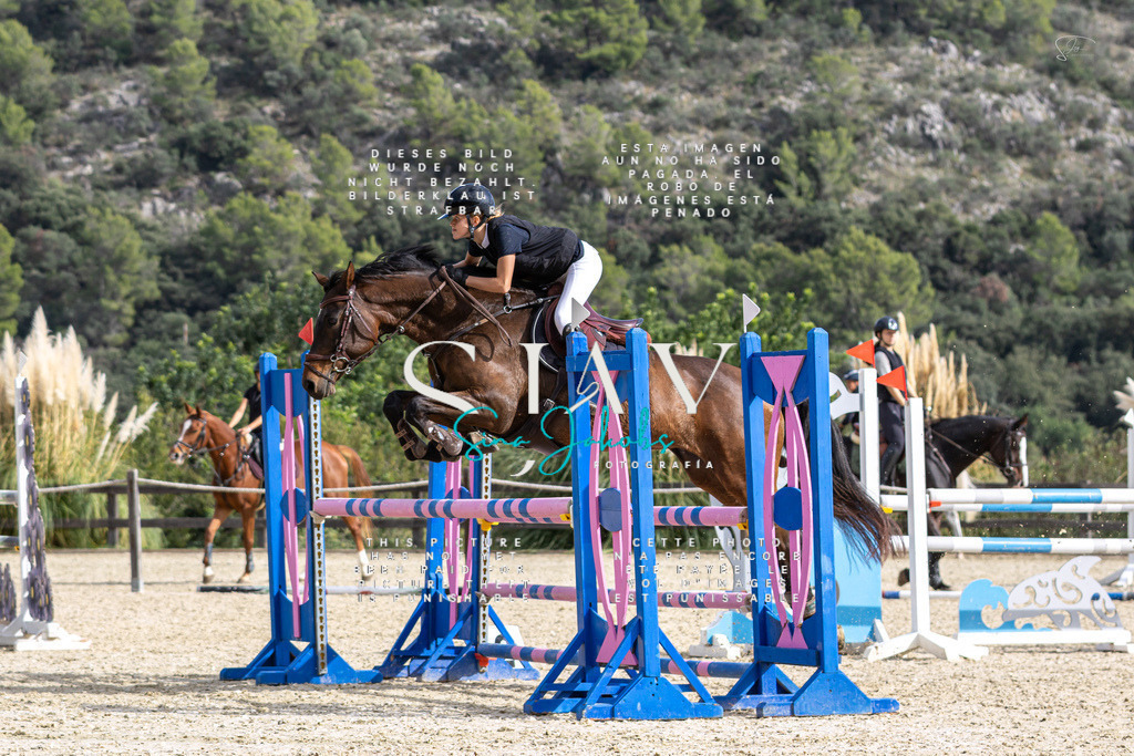 IMG_3179 | s-jay-photography - Realisiert mit Pictrs.com