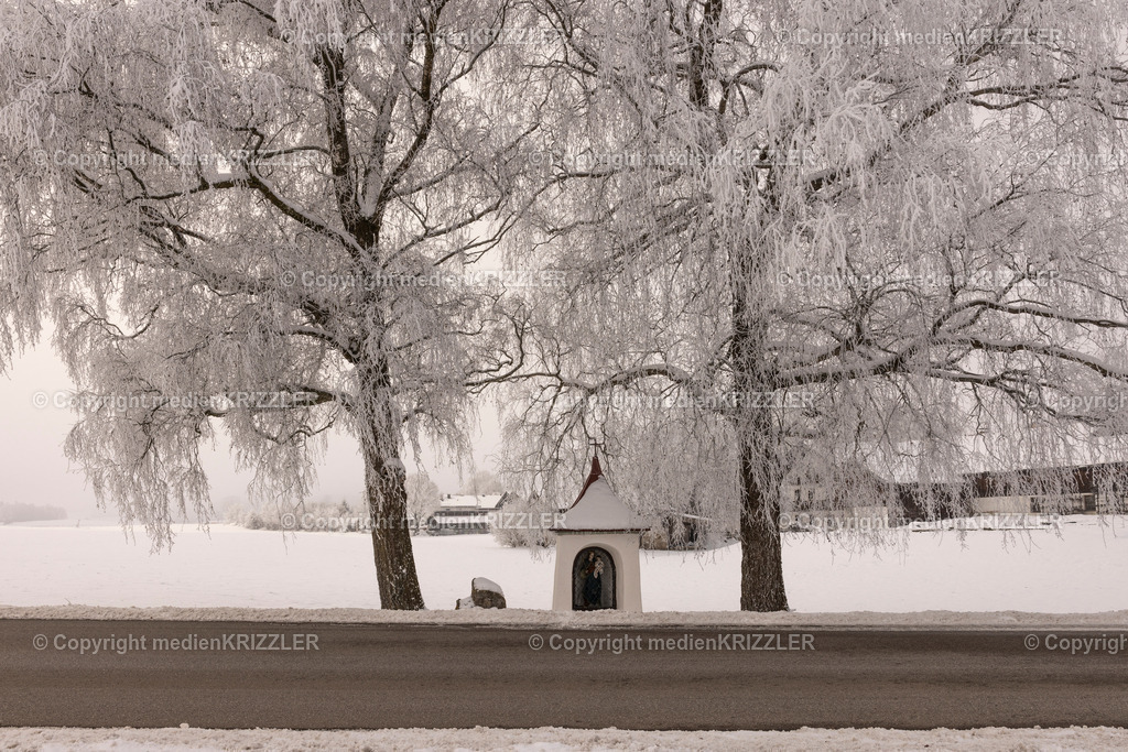 _J3A9615 | medienkrizzler - Realisiert mit Pictrs.com