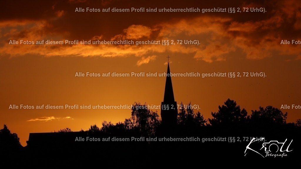 Photo_1727420073528 | krollfotografie - Realisiert mit Pictrs.com