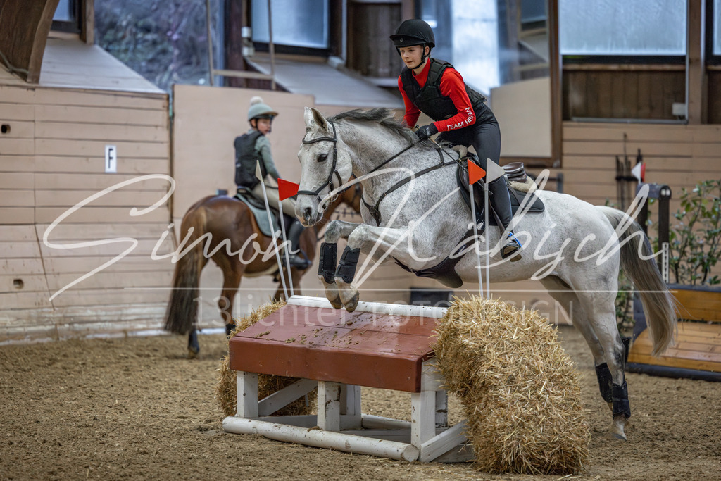 20260222-_3LI0945 | Tierfotografie Pferde, Hunde, Katzen, Haustiere.
Turnierfotografie Reitturniere, Reiten, Springreiten, Dressur in Hanau, dem Main-Kinzig-Kreis und dem Rhein-Main- Gebiet um Frankfurt