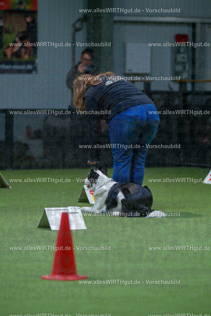 7R501400 | Professionelle Tierfotografie in Mönchengladbach von Daniel Wirth (allesWIRTHgut). Liebevolle & natürliche Bilder von Hunden & Katzen für unvergessliche Erinnerungen.