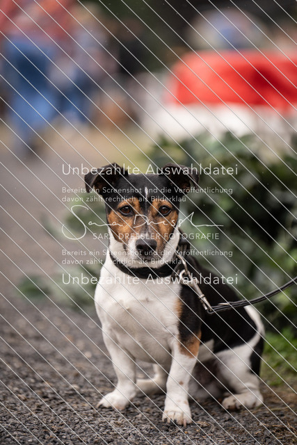 SD_OES26_07433 | saradresslerfotografie - Realisiert mit Pictrs.com