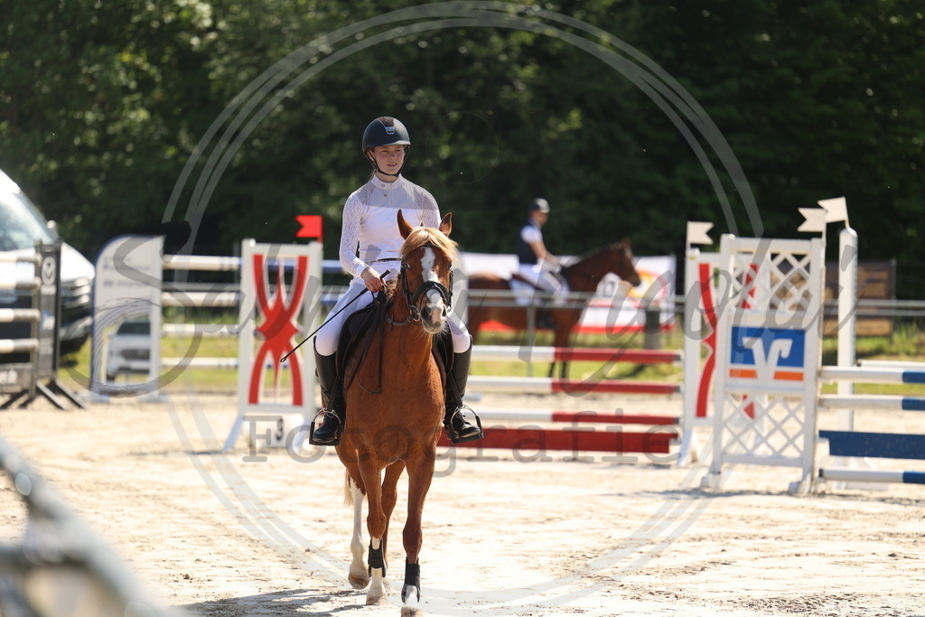 994A5564 | sabrinanicolaifotografie - Realisiert mit Pictrs.com